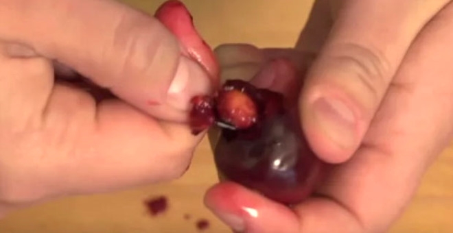 Meyve çekirdeklerini yutmak zararlı mı? Kiraz, üzüm, erik vb. 4