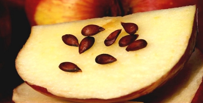 Meyve çekirdeklerini yutmak zararlı mı? Kiraz, üzüm, erik vb. 5