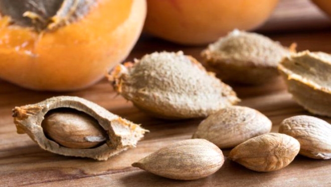 Meyve çekirdeklerini yutmak zararlı mı? Kiraz, üzüm, erik vb. 6