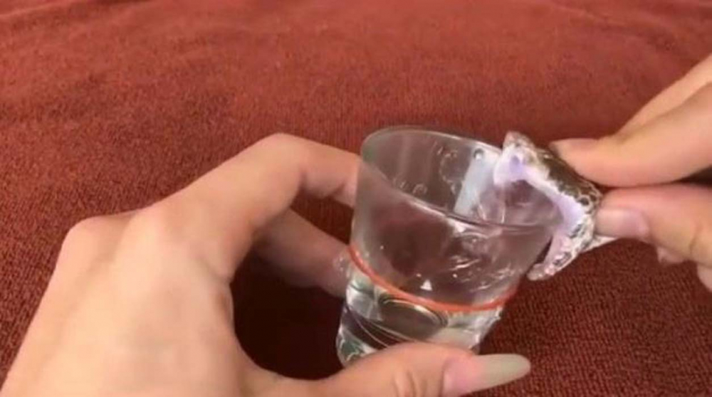 Çılgın deneyci herkesi şoke etti: Bir damla yılan zehri bakın kanı ne hale getirdi! 1