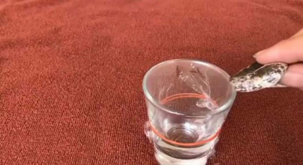 Çılgın deneyci herkesi şoke etti: Bir damla yılan zehri bakın kanı ne hale getirdi! 2