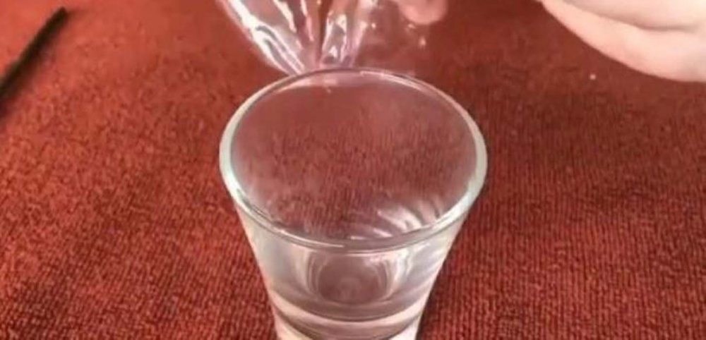 Çılgın deneyci herkesi şoke etti: Bir damla yılan zehri bakın kanı ne hale getirdi! 4