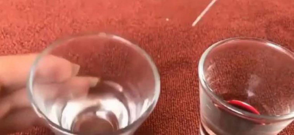 Çılgın deneyci herkesi şoke etti: Bir damla yılan zehri bakın kanı ne hale getirdi! 5