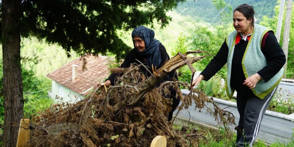 Köylülerin korkulu rüyası oldu! Mezarları kazıp ceset yiyen ayı tekrar ortaya çıktı! 5