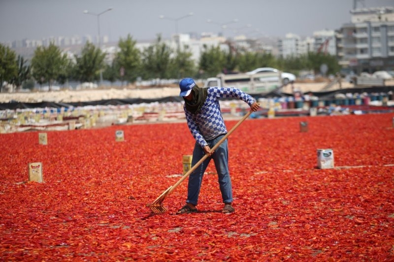 Şanlıurfa kırmızıya büründü 12