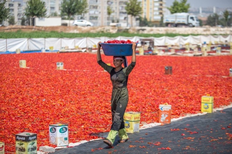 Şanlıurfa kırmızıya büründü 6