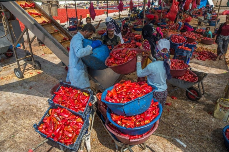 Şanlıurfa kırmızıya büründü 8