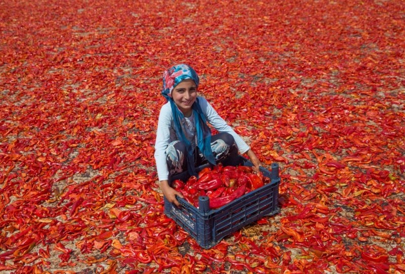 Şanlıurfa kırmızıya büründü 9