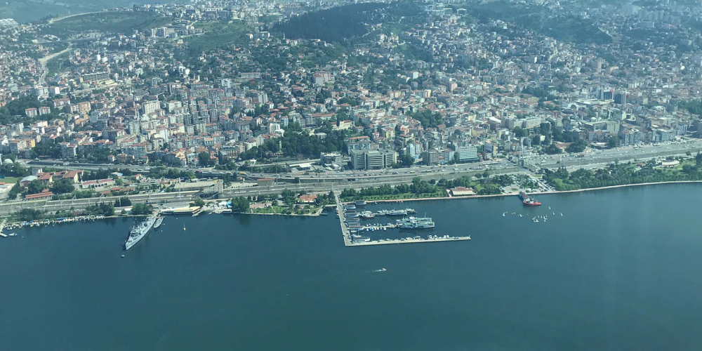 Marmara Denizi'ndeki balıklarda sorun var mı? Bakan Pakdemirli merak edilen konuya açıklık getirdi 5