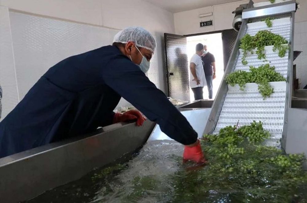 Manisa'da üretiliyor, faydaları saymakla bitmiyor! On binlerce şişe yetmedi: Kapış kapış satılıyor! 5