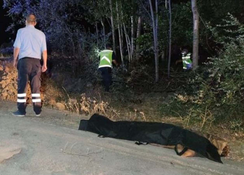 Van'da feci kaza: 6'sı yanarak 12 kişi öldü Düzensiz göçmenleri taşıyordu... Cesetler yola savruldu 2