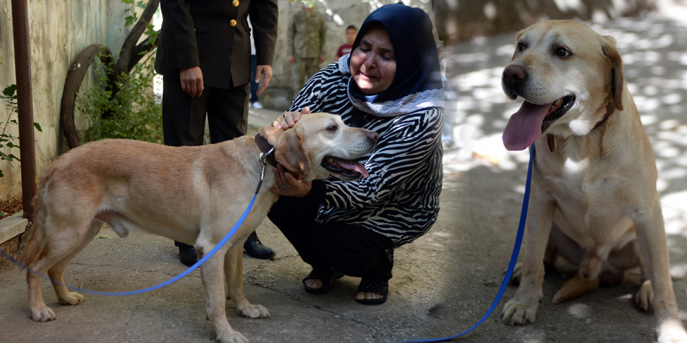 Şehidimizin emaneti! Oğullarını şehit verdikleri saldırıda gazi olan köpeği sahiplendiler 1