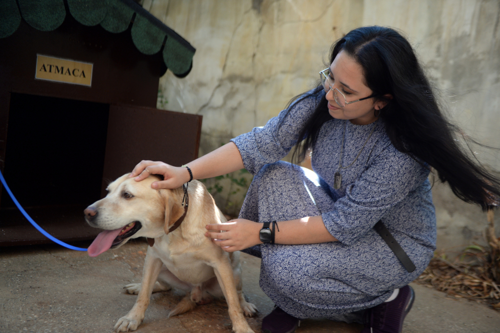 Şehidimizin emaneti! Oğullarını şehit verdikleri saldırıda gazi olan köpeği sahiplendiler 10