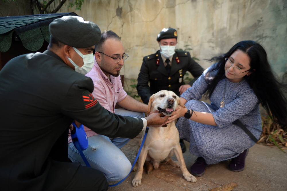 Şehidimizin emaneti! Oğullarını şehit verdikleri saldırıda gazi olan köpeği sahiplendiler 11