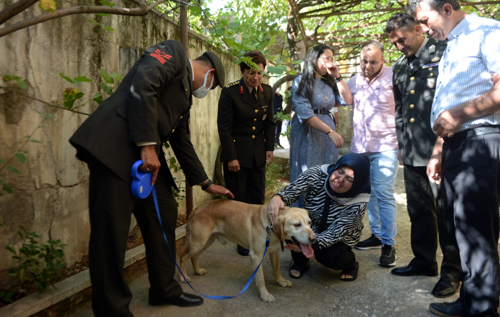 Şehidimizin emaneti! Oğullarını şehit verdikleri saldırıda gazi olan köpeği sahiplendiler 12