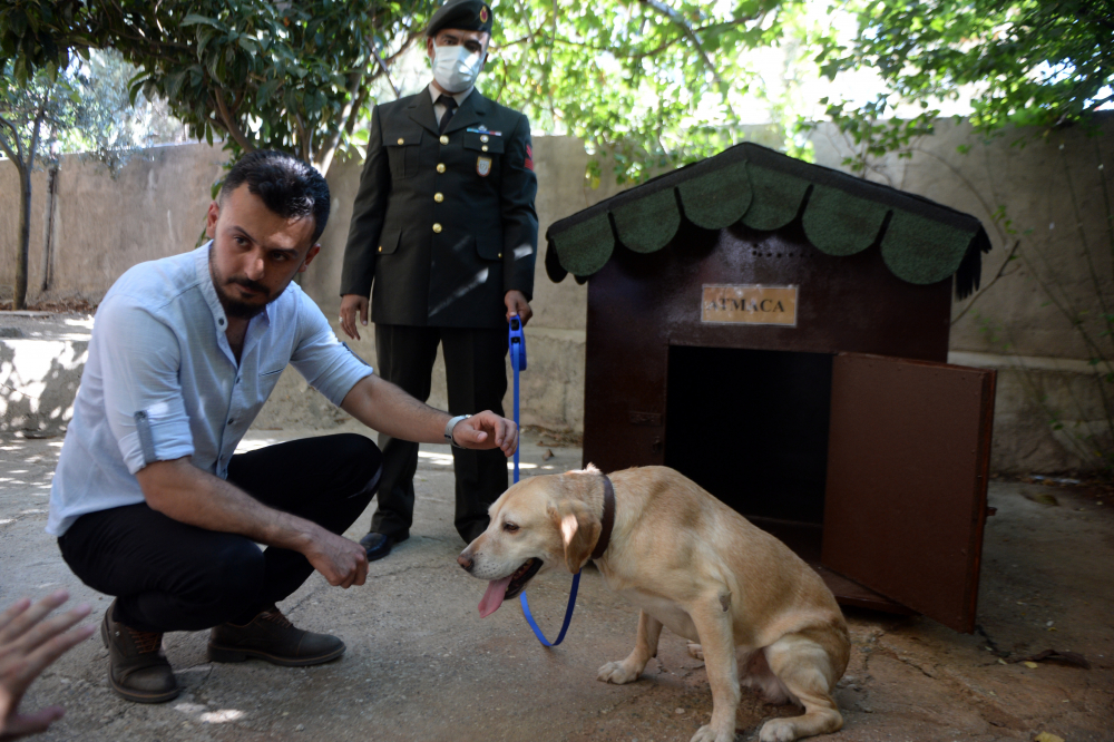 Şehidimizin emaneti! Oğullarını şehit verdikleri saldırıda gazi olan köpeği sahiplendiler 15