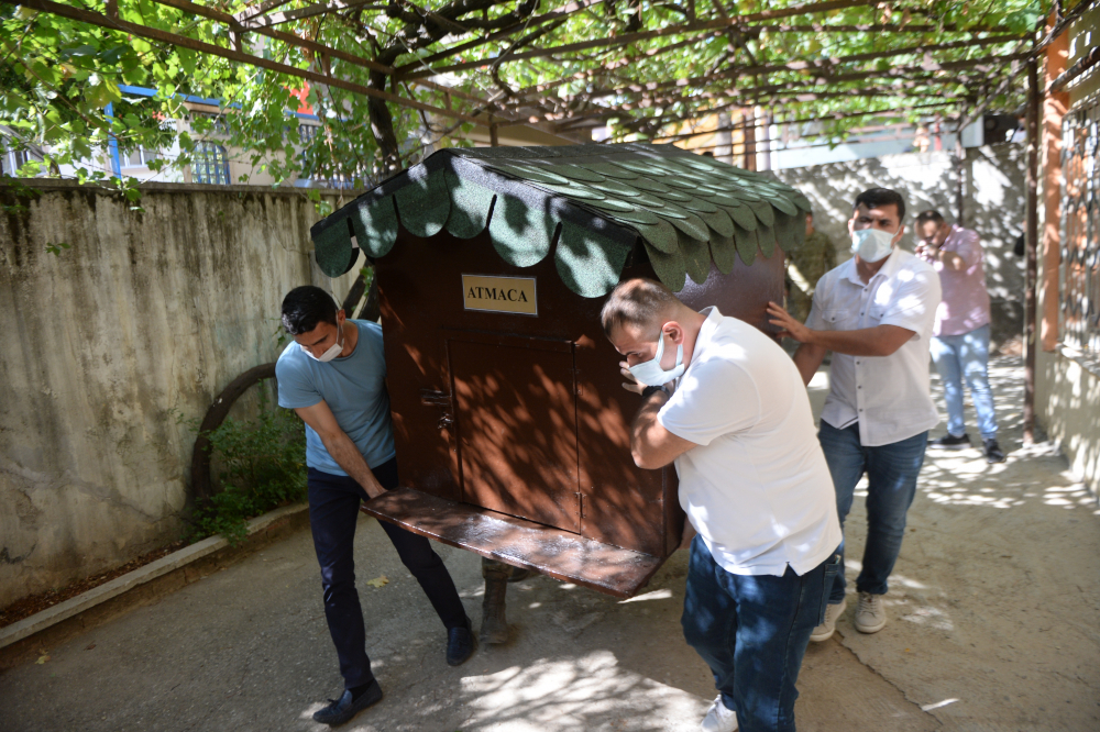 Şehidimizin emaneti! Oğullarını şehit verdikleri saldırıda gazi olan köpeği sahiplendiler 16