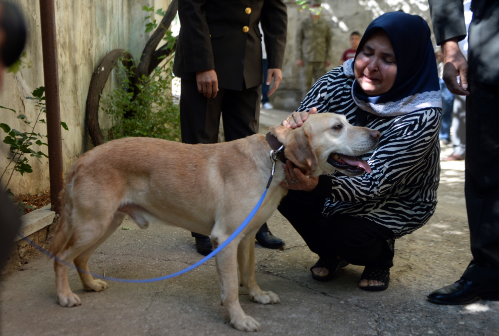 Şehidimizin emaneti! Oğullarını şehit verdikleri saldırıda gazi olan köpeği sahiplendiler 4