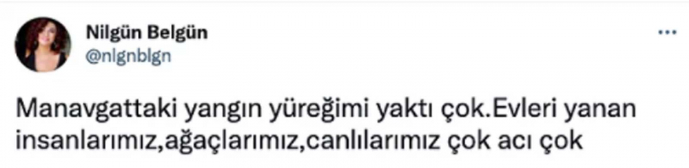 Ülkenin dört bir yanında eş zamanlı başladı! Ciğerimizi yakan orman yangınlarına ünlü isimler sessiz kalmadı! 10