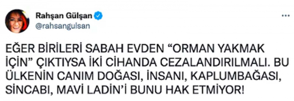 Ülkenin dört bir yanında eş zamanlı başladı! Ciğerimizi yakan orman yangınlarına ünlü isimler sessiz kalmadı! 11