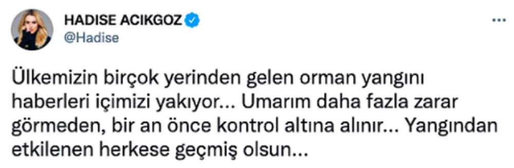 Ülkenin dört bir yanında eş zamanlı başladı! Ciğerimizi yakan orman yangınlarına ünlü isimler sessiz kalmadı! 14