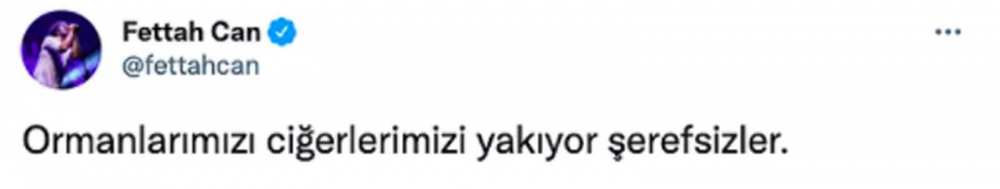 Ülkenin dört bir yanında eş zamanlı başladı! Ciğerimizi yakan orman yangınlarına ünlü isimler sessiz kalmadı! 2