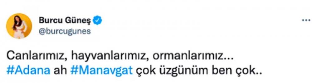 Ülkenin dört bir yanında eş zamanlı başladı! Ciğerimizi yakan orman yangınlarına ünlü isimler sessiz kalmadı! 8