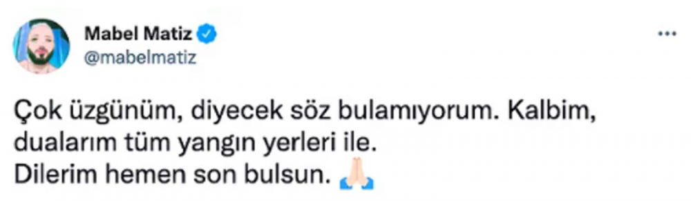 Ülkenin dört bir yanında eş zamanlı başladı! Ciğerimizi yakan orman yangınlarına ünlü isimler sessiz kalmadı! 9