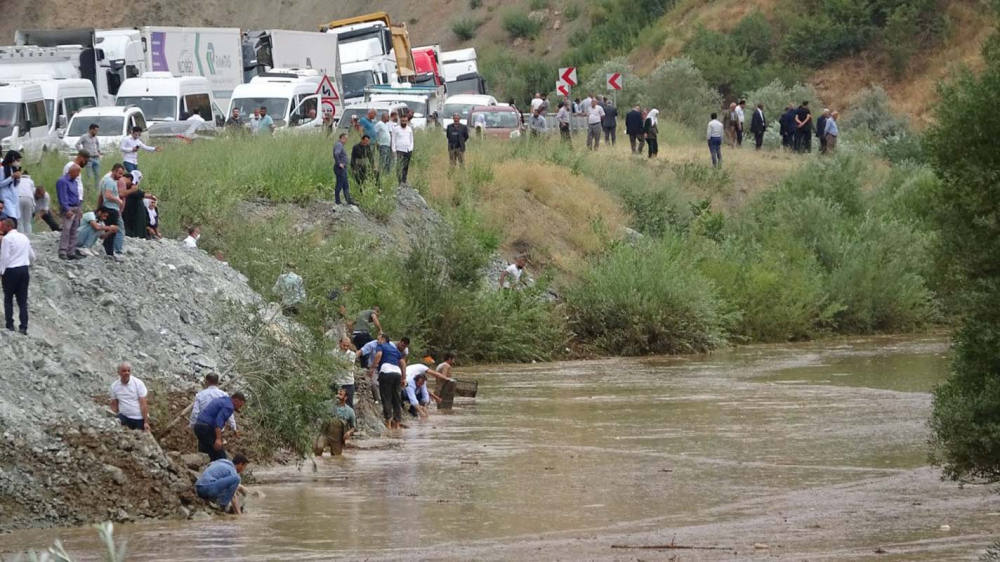 Van-Hakkari karayolunda zap suyu taştı, yoldan geçen düğün konvoyu balıkları yakalamak için birbiriyle yarıştı! 1