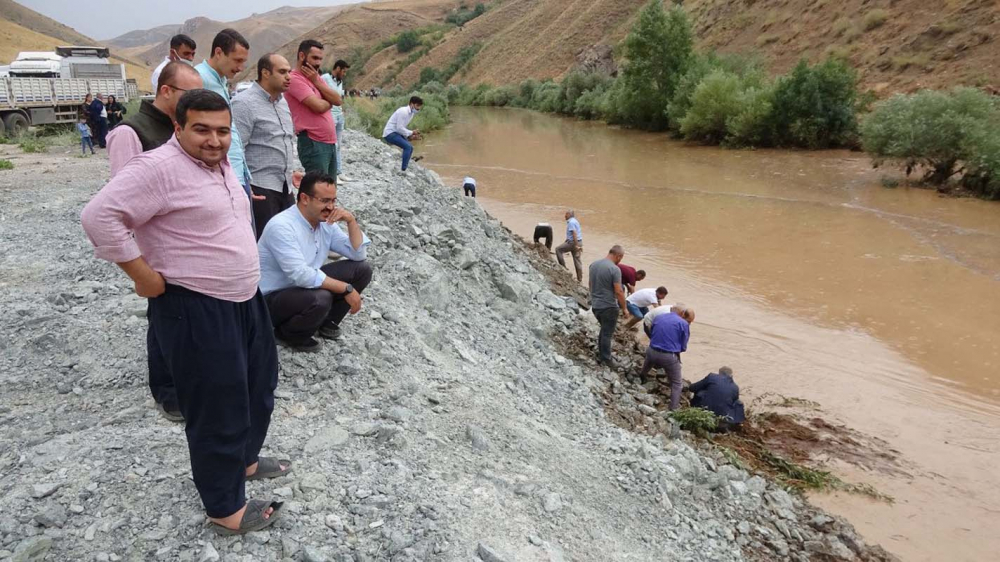 Van-Hakkari karayolunda zap suyu taştı, yoldan geçen düğün konvoyu balıkları yakalamak için birbiriyle yarıştı! 3