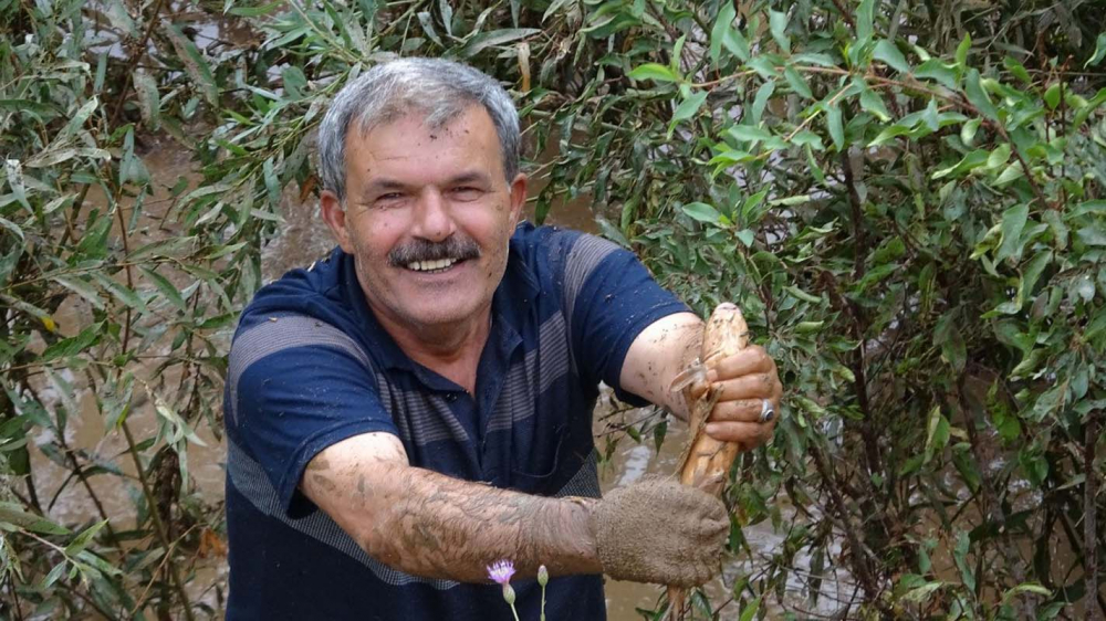 Van-Hakkari karayolunda zap suyu taştı, yoldan geçen düğün konvoyu balıkları yakalamak için birbiriyle yarıştı! 4