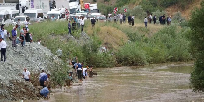 Van-Hakkari karayolunda zap suyu taştı, yoldan geçen düğün konvoyu balıkları yakalamak için birbiriyle yarıştı!