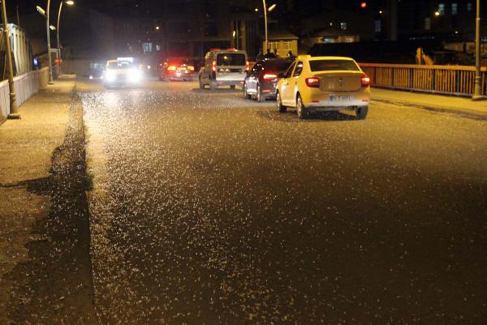 Bir anda yollar kar beyaz oldu! Görenler gözlerine inanamadı: Ölüm dansı... 6