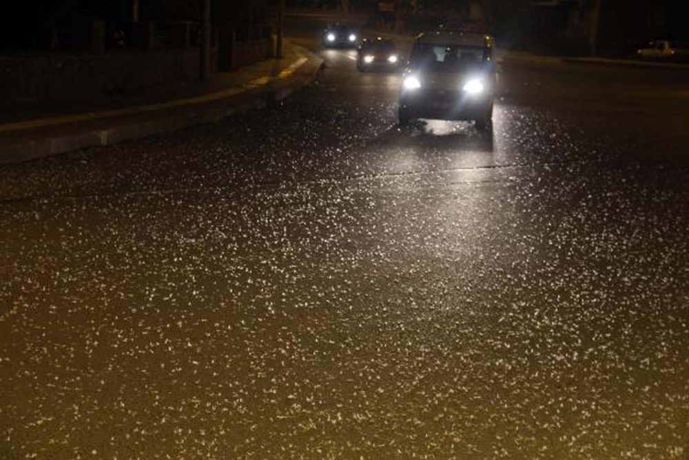 Bir anda yollar kar beyaz oldu! Görenler gözlerine inanamadı: Ölüm dansı... 7