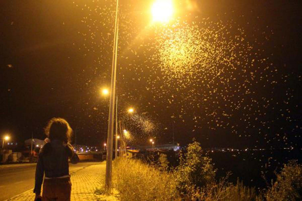 Bir anda yollar kar beyaz oldu! Görenler gözlerine inanamadı: Ölüm dansı... 9