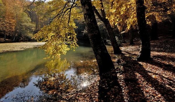 Sonbaharda fotoğraf çekilecek yerler! 6