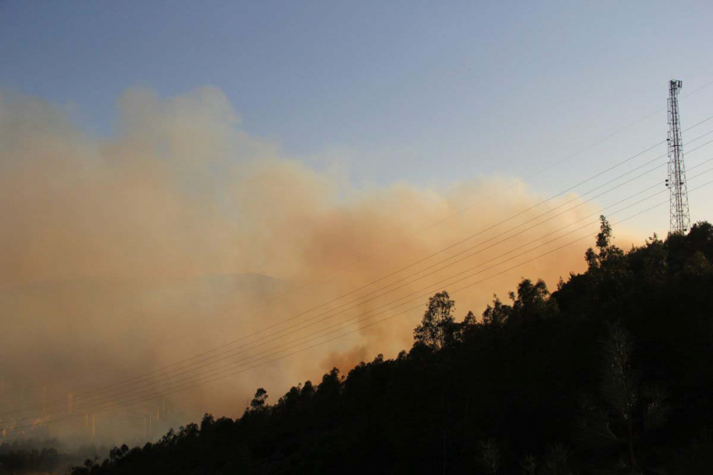 İzmir'de ormanlık alanda çıkan yangın kontrol altına alındı! 5