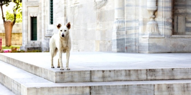 Ezan sesini duyan köpek neden havlar?