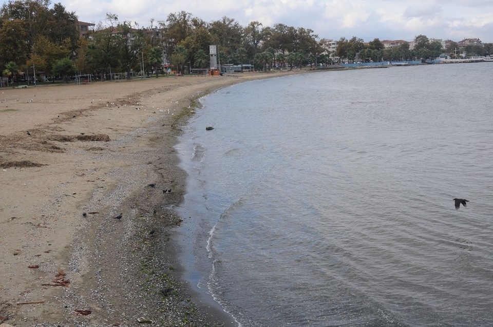 Yalova'da deniz suyu 25 metre çekildi! Peki deniz neden geri çekilir? 10