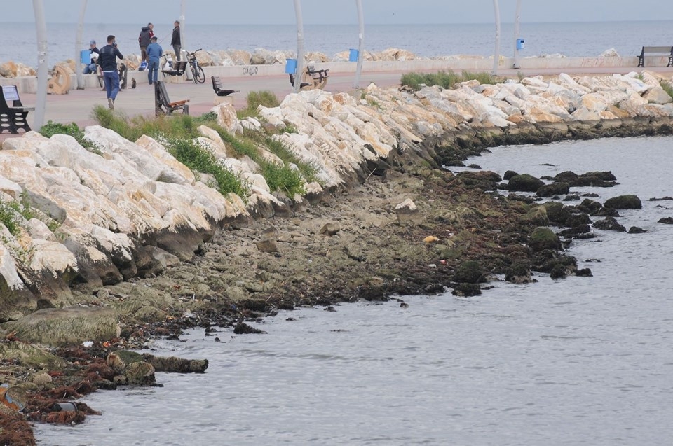 Yalova'da deniz suyu 25 metre çekildi! Peki deniz neden geri çekilir? 5