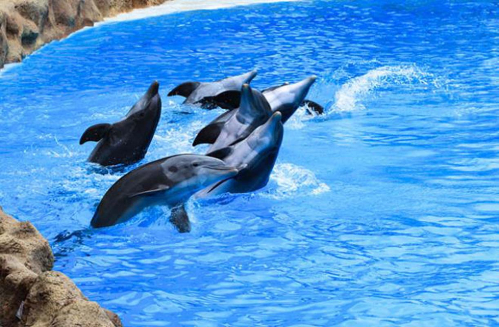 Çamaşır ipine çamaşır asamazsınız! İşte Kanada'nın duyanları hayrete düşüren ilginç yasakları! 2