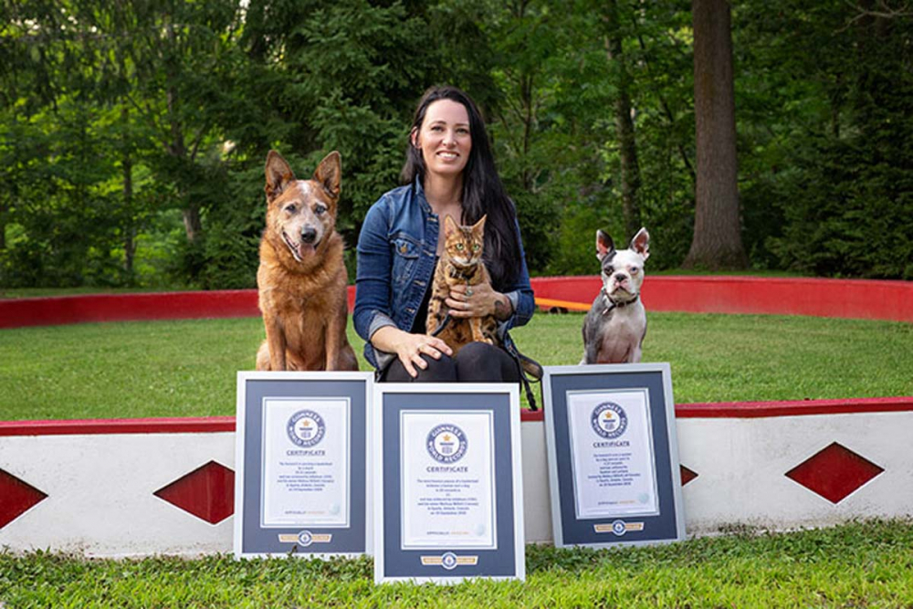 Kedi ve köpeği daha önce böyle görmediniz! İşte Guinness 2022'de yer alan sıra dışı rekorlar! 1