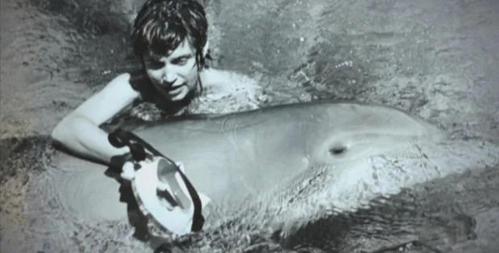 Hayrete düşüren olay! Yunusla cinsel ilişkiye giren kadın duyanların ağzını açık bıraktı 6