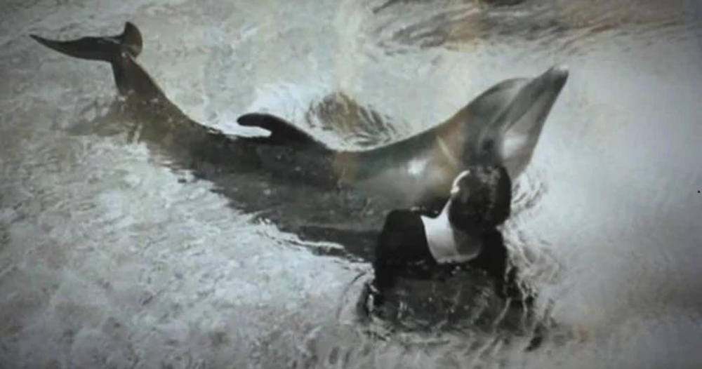 Hayrete düşüren olay! Yunusla cinsel ilişkiye giren kadın duyanların ağzını açık bıraktı 7