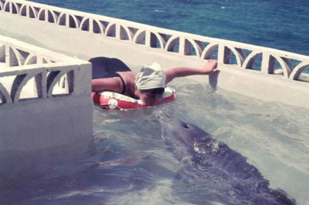 Hayrete düşüren olay! Yunusla cinsel ilişkiye giren kadın duyanların ağzını açık bıraktı 8