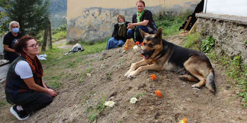 Vefalı köpeğin duygulandıran hareketi! Sahibinin mezarı başından ayrılmıyor 6