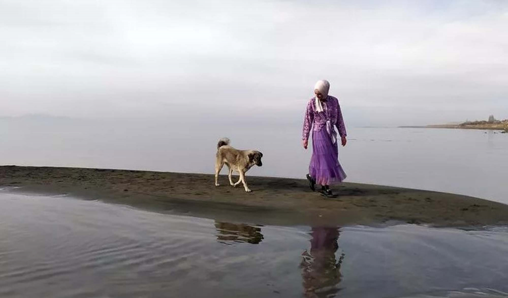 Fotoğraflar göz kamaştırıcı, işin aslı iç karartıcı! Van Gölü'nde sular çekilince adacıklar oluştu, ortaya çıkan resimler muazzam ancak... 6