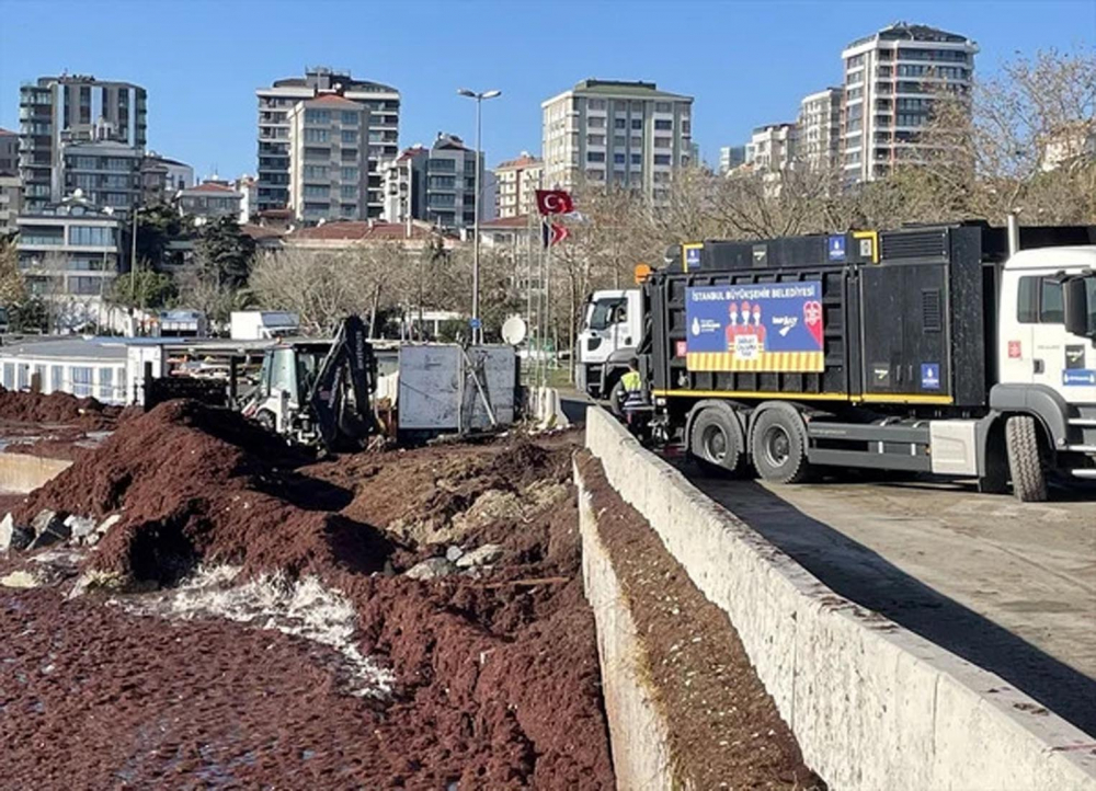 İstanbul alarm veriyor! Acil önlem çağrısında bulunuldu! Bu kez de kırmızı yosunlar şehri tehdit ediyor! 7