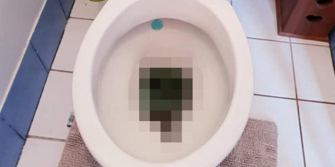 Tuvalete girdi gördüğü manzara karşısında şok oldu, korku dolu anlar yaşadı