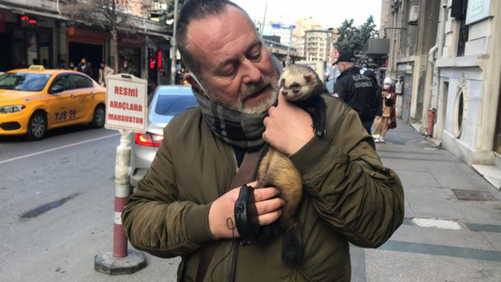 Gelinciğine tasma taktı Taksim'e çıktı! Görenlerin ağzı açık kaldı 1